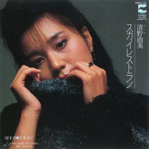 YUMI SEINO / 清野由美商品一覧｜OLD ROCK｜ディスクユニオン