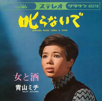 MICHI AOYAMA / 青山ミチ商品一覧｜ディスクユニオン・オンライン