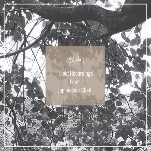 LES NOUVELLES MUSIQUES DE CHAMBRE VOLUME 2 (LP)/CHARLES HAYWARD