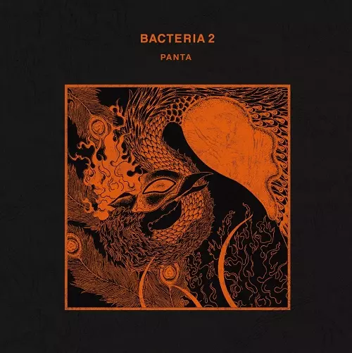 PANTA / パンタ商品一覧｜OLD ROCK｜ディスクユニオン・オンライン