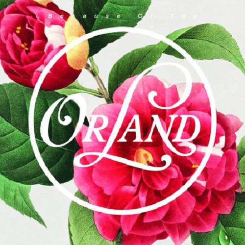 11/3(金・祝)いよいよ本日!!『レコードの日 2023』ディスクユニオン