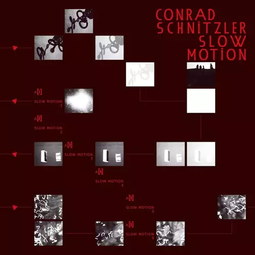 CONRAD SCHNITZLER / コンラッド・シュニッツラー商品一覧｜ディスク