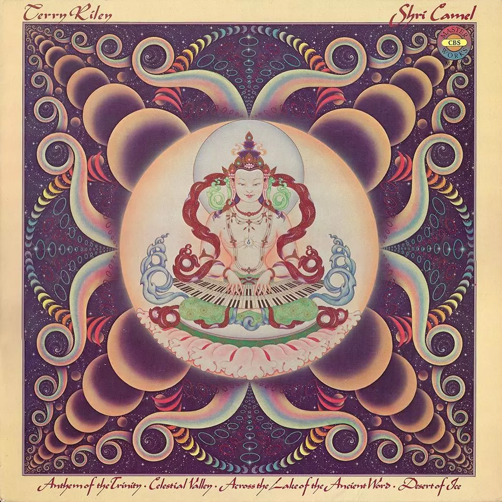 DESCENDING MOONSHINE DERVISHES (LP)/TERRY RILEY/テリー・ライリー