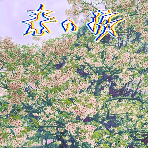 We Don't Know What Love Is/WHO DO YOU LOVE?/フー・ドゥ・ユー・ラブ