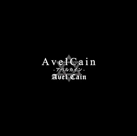 AvelCain商品一覧｜ディスクユニオン・オンラインショップ｜diskunion.net
