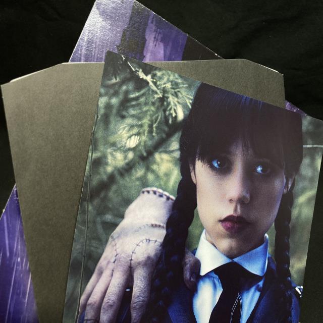 Wednesday Soundtrack ◯アナログカラー盤 Wednesday (Original Soundtrack From the Netflix Series