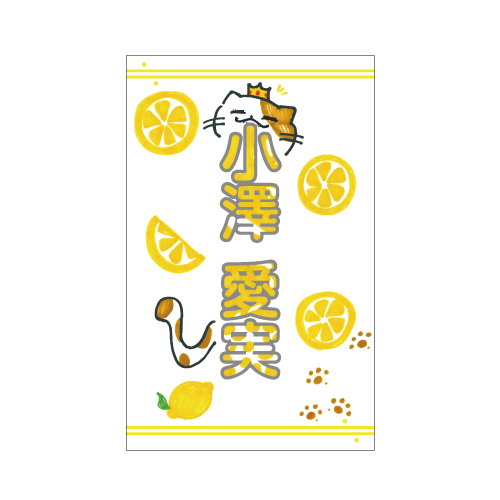 商品詳細ページ | ≒JOY OFFICIAL SHOP | 個別ペンライトトップ