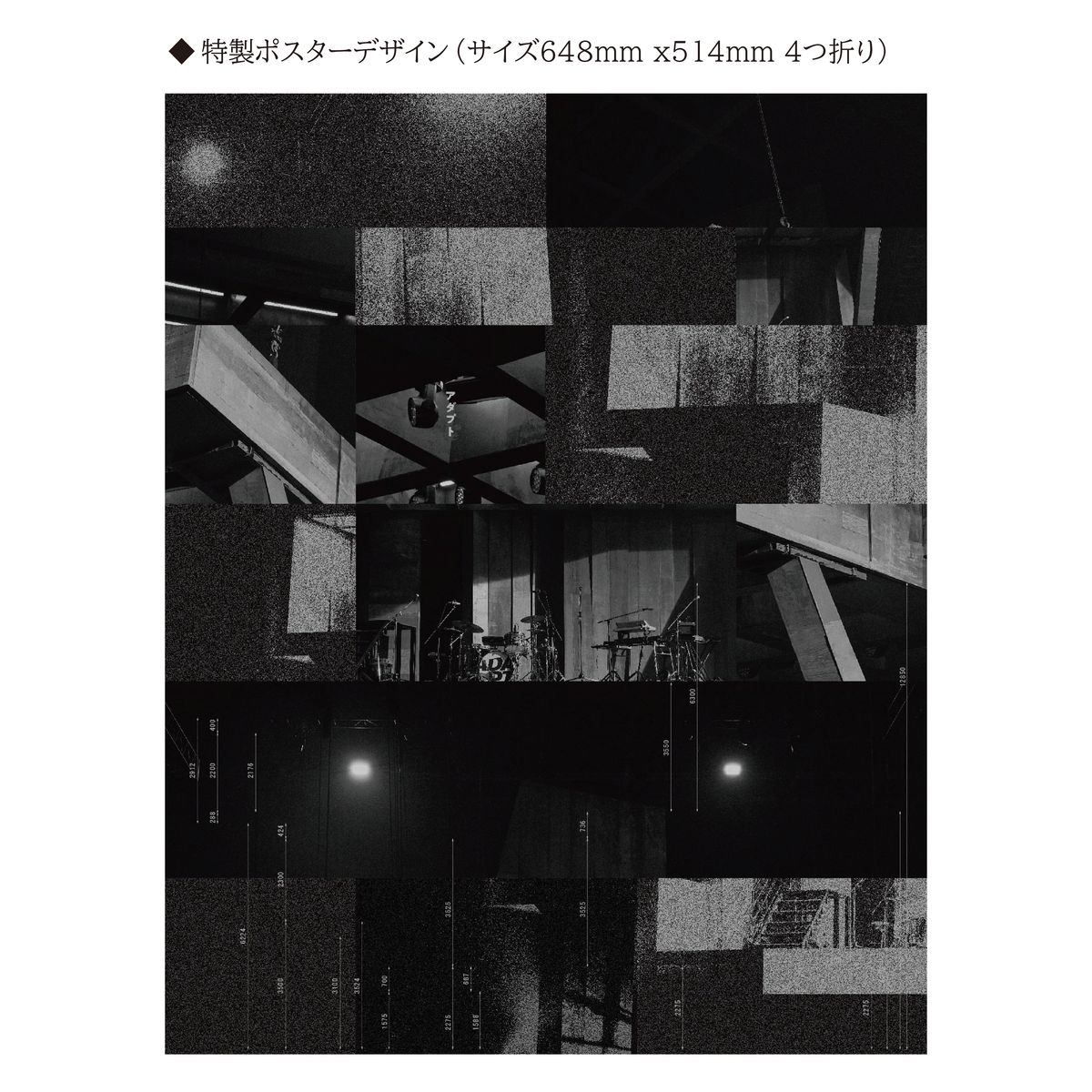 商品詳細ページ | sakanaction ONLINE STORE | 【NF member完全生産