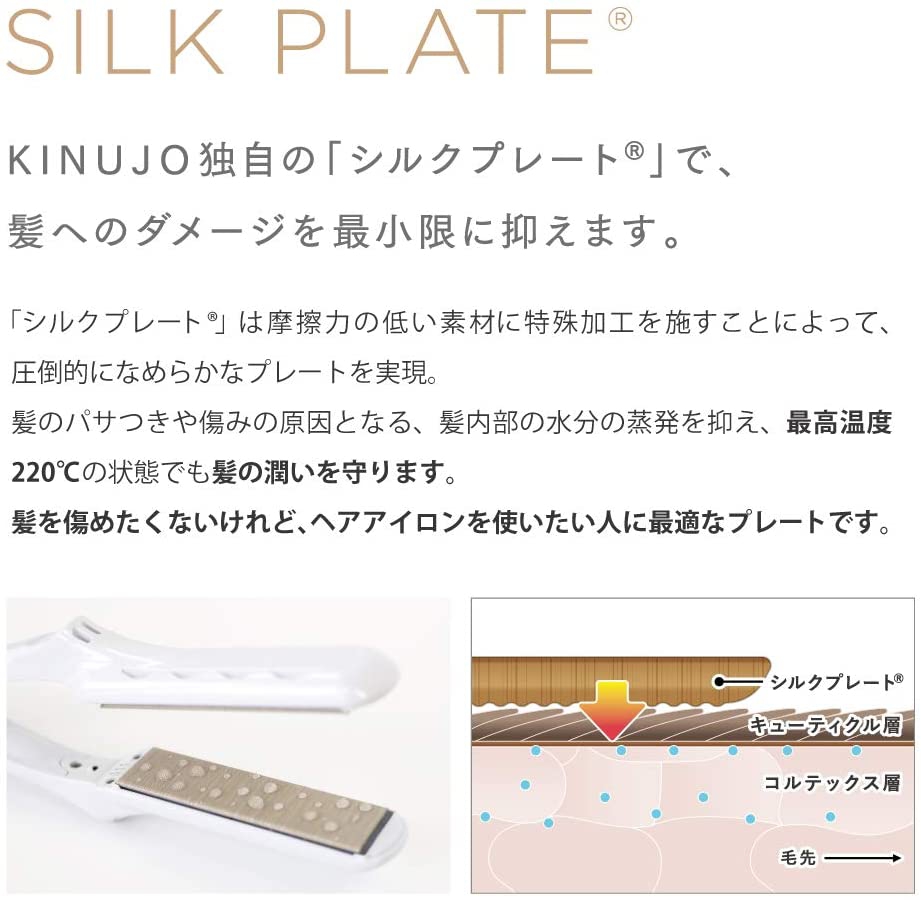 絹女(KINUJO) LIP IRON DS058の悪い口コミ・評判は？実際に使った