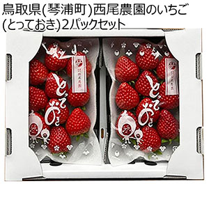 鳥取県琴浦町産 西尾農園のいちご(とっておき)2パックセット 250g以上