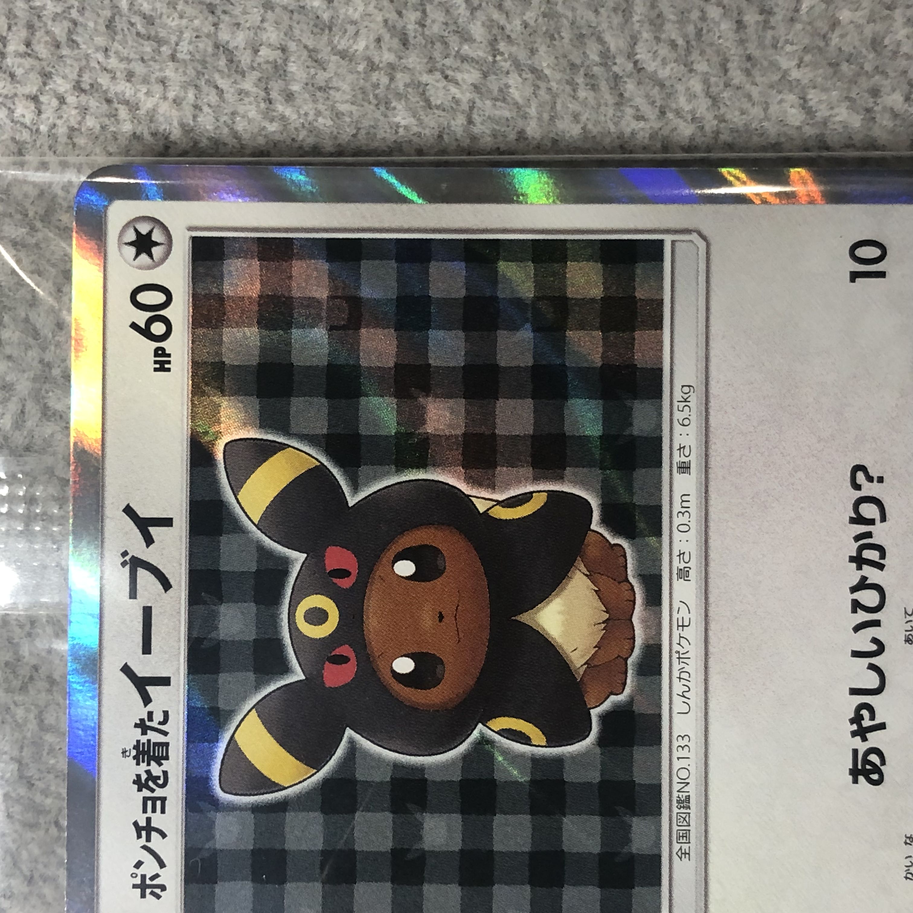 ポンチョを着たイーブイ 未開封 ブラッキー PROMO A 141/SM-P