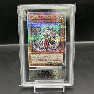 白き森のリゼット25thシク・QCSEが高騰中！初動価格・最新相場・買取