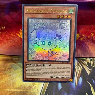 フワロス」の激安通販 | magi