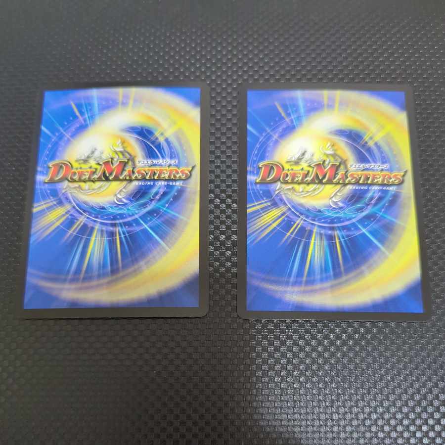 心転地と透幻郷の決断 パーフェクトアドベンチャー SR S8/S11 1枚の