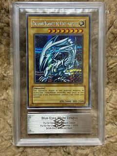 青眼の白龍 シクブル」の激安通販 | magi