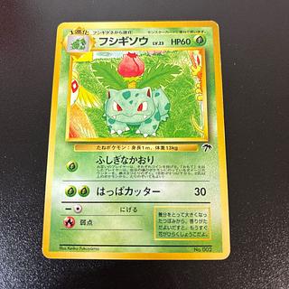 サザンアイランド」の激安通販 | magi