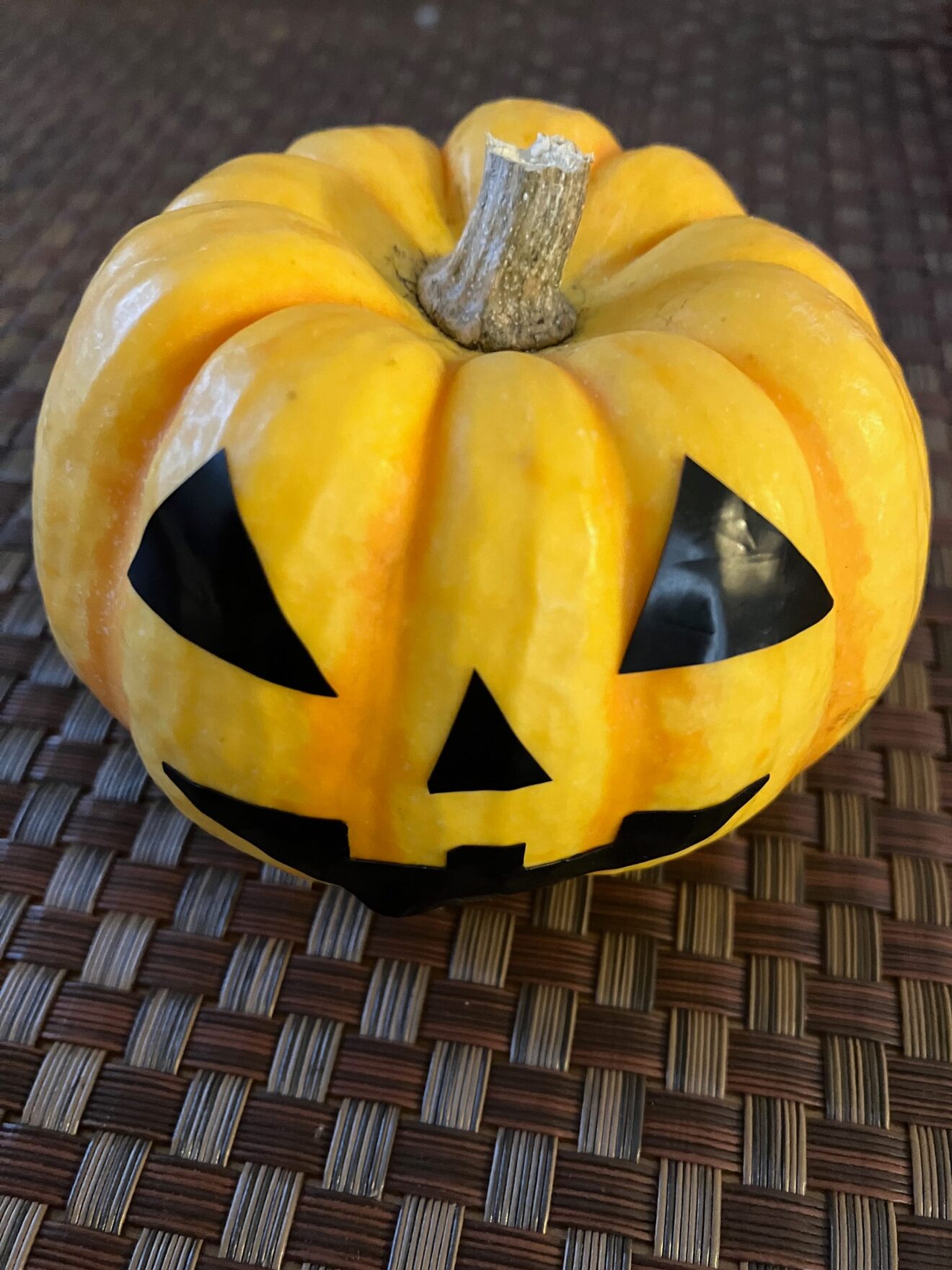 ハロウィンの飾りにも】プッチーニ（かぼちゃ） ゆうパケットプラス