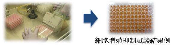 細胞毒性試験・細胞増殖抑制試験 (P2FKS1000262-1)｜サイサチ受託カタログ