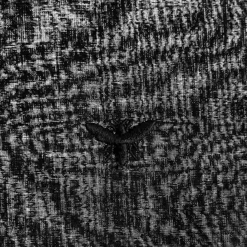 SH W/VOILE WOOL VOILE ウールヴォイル マダムシャツ | ブランド古着の