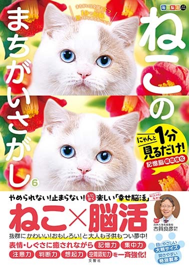 文響社 公式】毎日脳活スペシャル ねこのまちがいさがし6