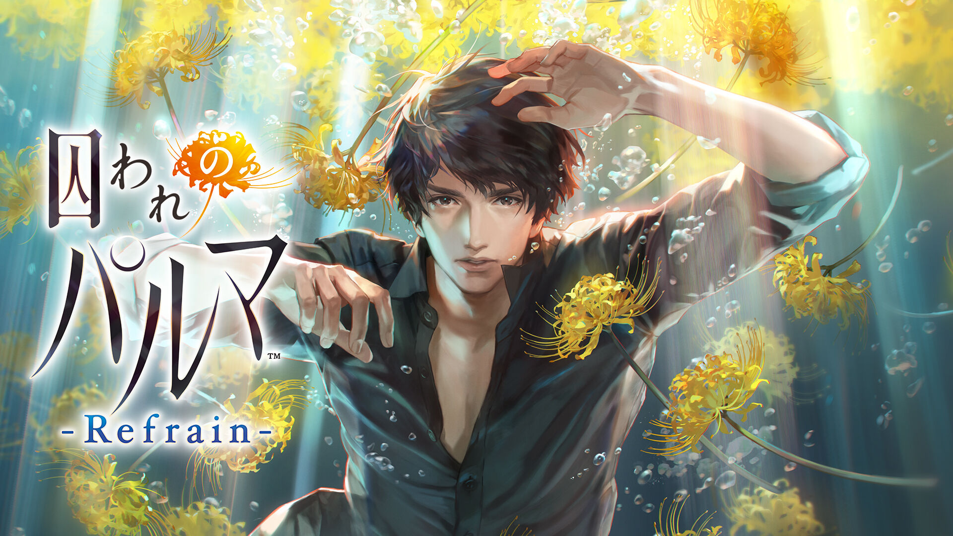 Switch 囚われのパルマ デラックス エディション 囚われのパルマ