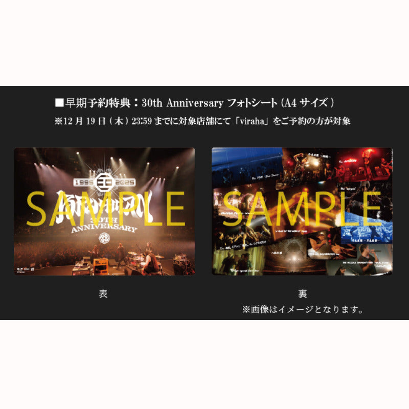 viraha（完全生産限定盤 プレミアムボックス） – TOY'S STORE