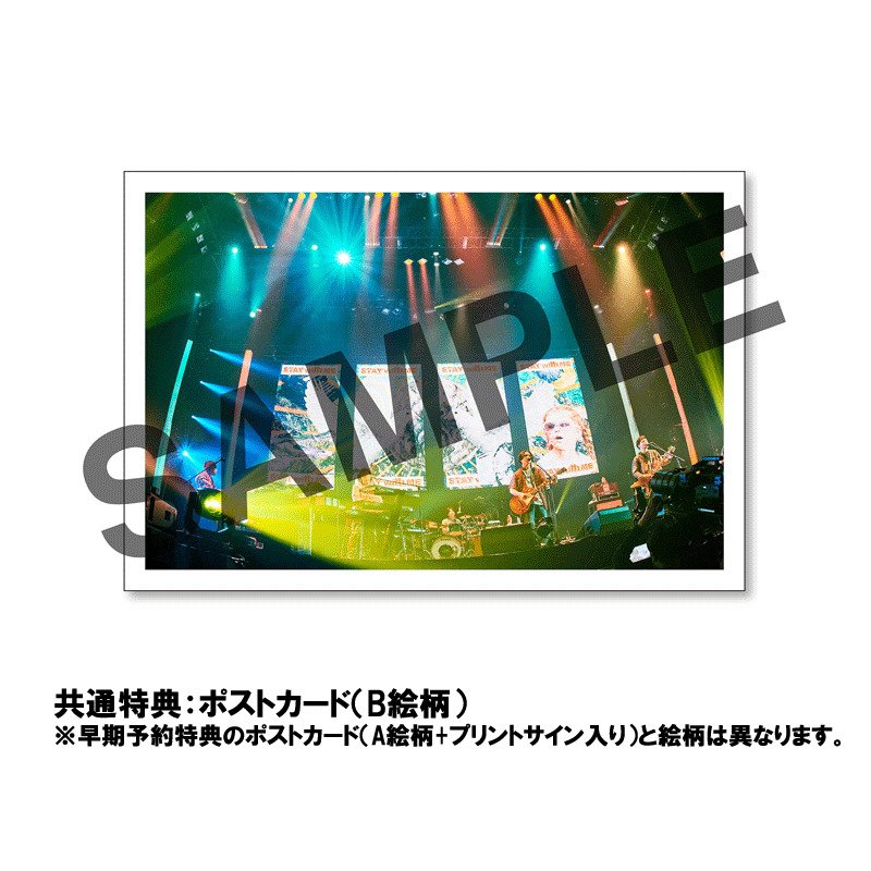 DVD］MACAROCK'N LIVE-1 / 初回生産限定盤 – TOY'S STORE