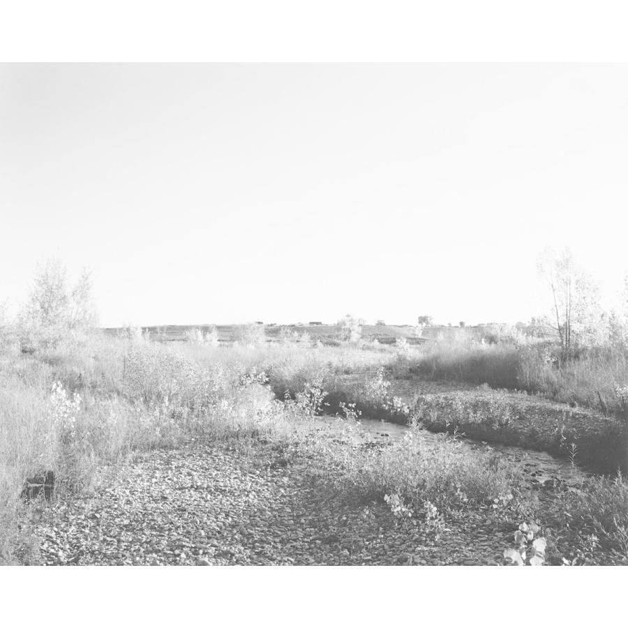 Cottonwoods ロバート・アダムズ 写真集 Robert Adams -の商品詳細