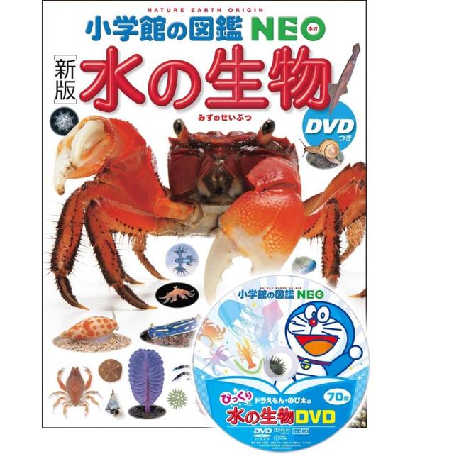 小学館の図鑑NEO〔新版〕水の生物 DVDつき』 指導・執筆／白山義久、他