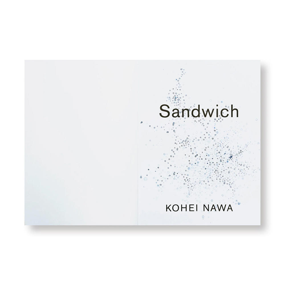 サイン入り】SANDWICH by Kohei Nawa 名和晃平 作品集 名和晃平 -の