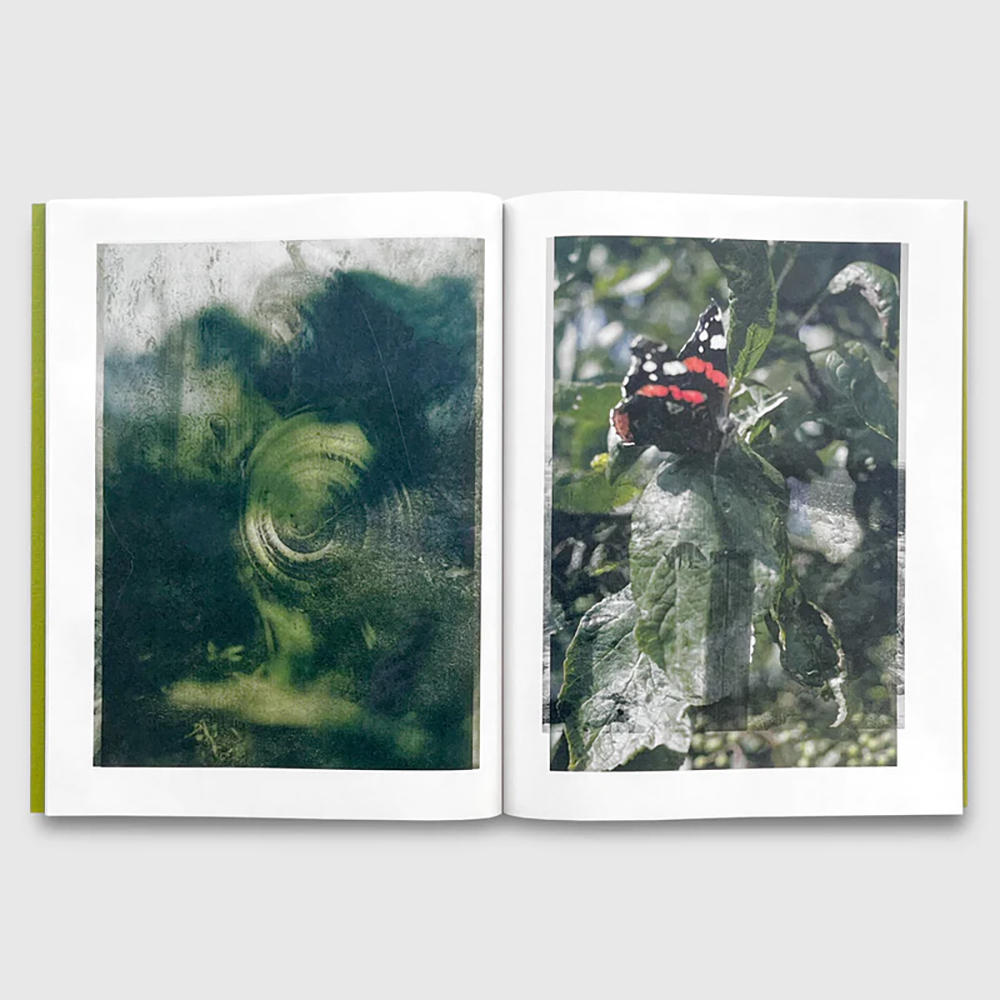 限定750部】Magnificent Failure by Stephen Gill スティーブン・ギル