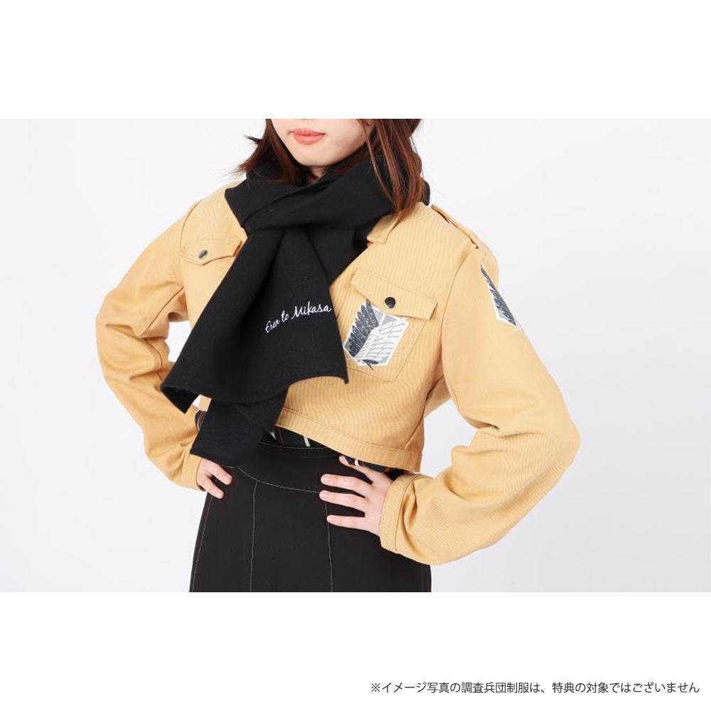 進撃の巨人 画集 FLY 諫山創 諫山 創 -の商品詳細 | 蔦屋書店