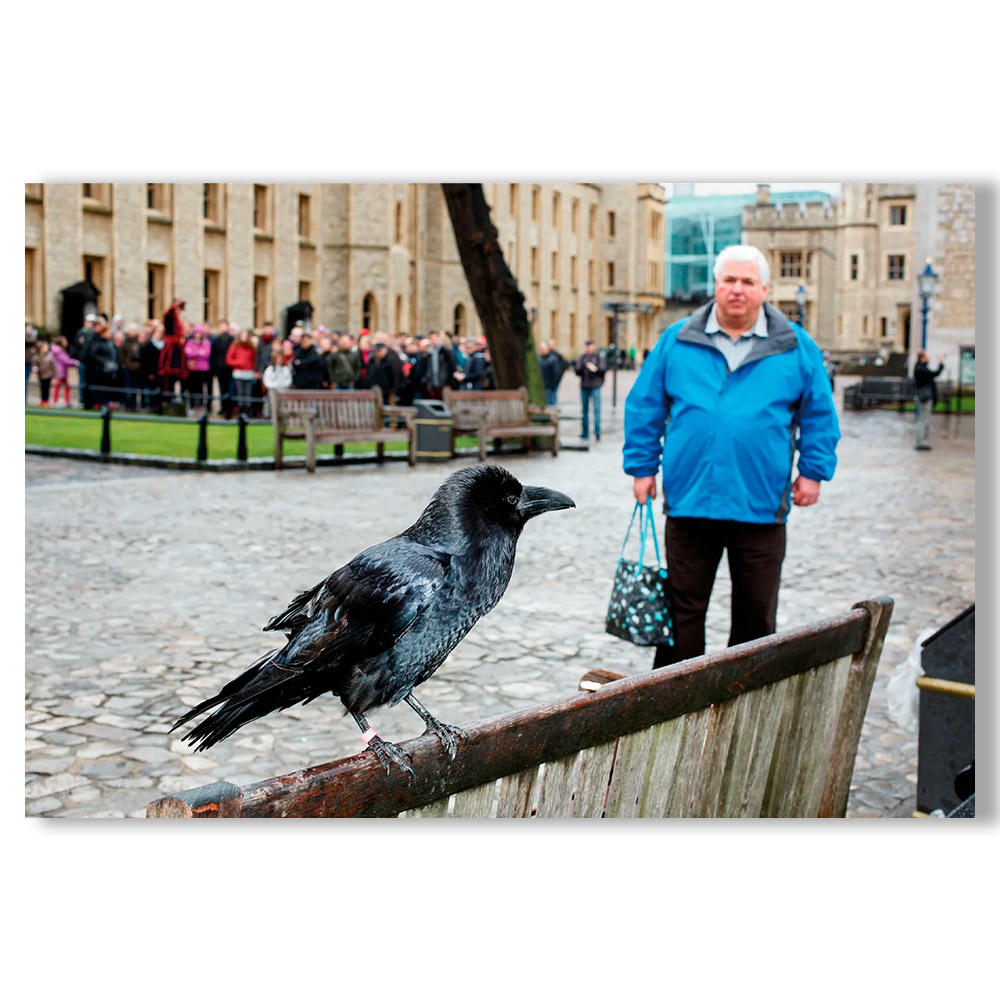 NEW REVISED EDITION]SMALL WORLD by Martin Parr（マーティン・パー