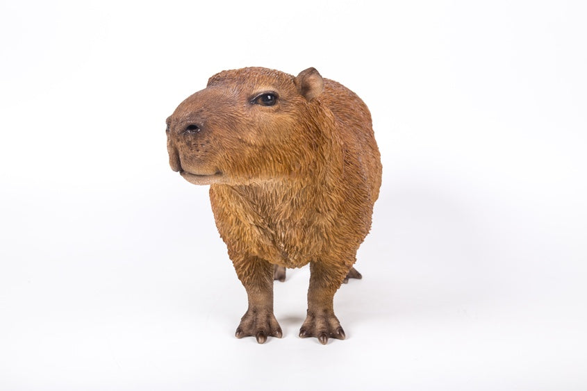 カピバラ（大）｜WooBia公式オンラインショップ – WooBia（ウービア