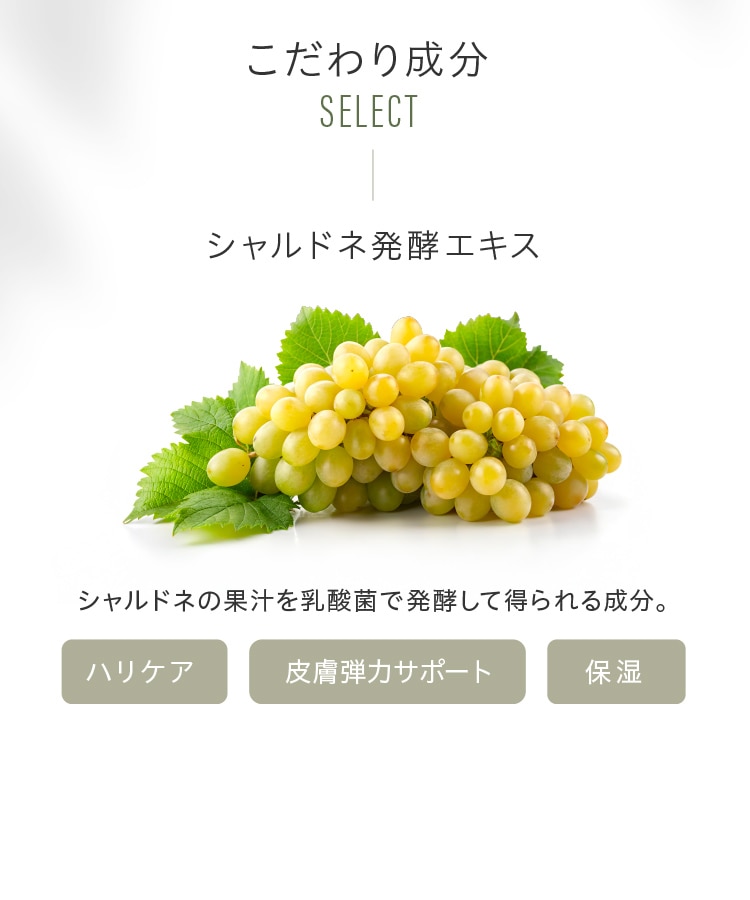 Yoganic Life スキンケア5点セット: 美容・健康LAVA公式オンライン