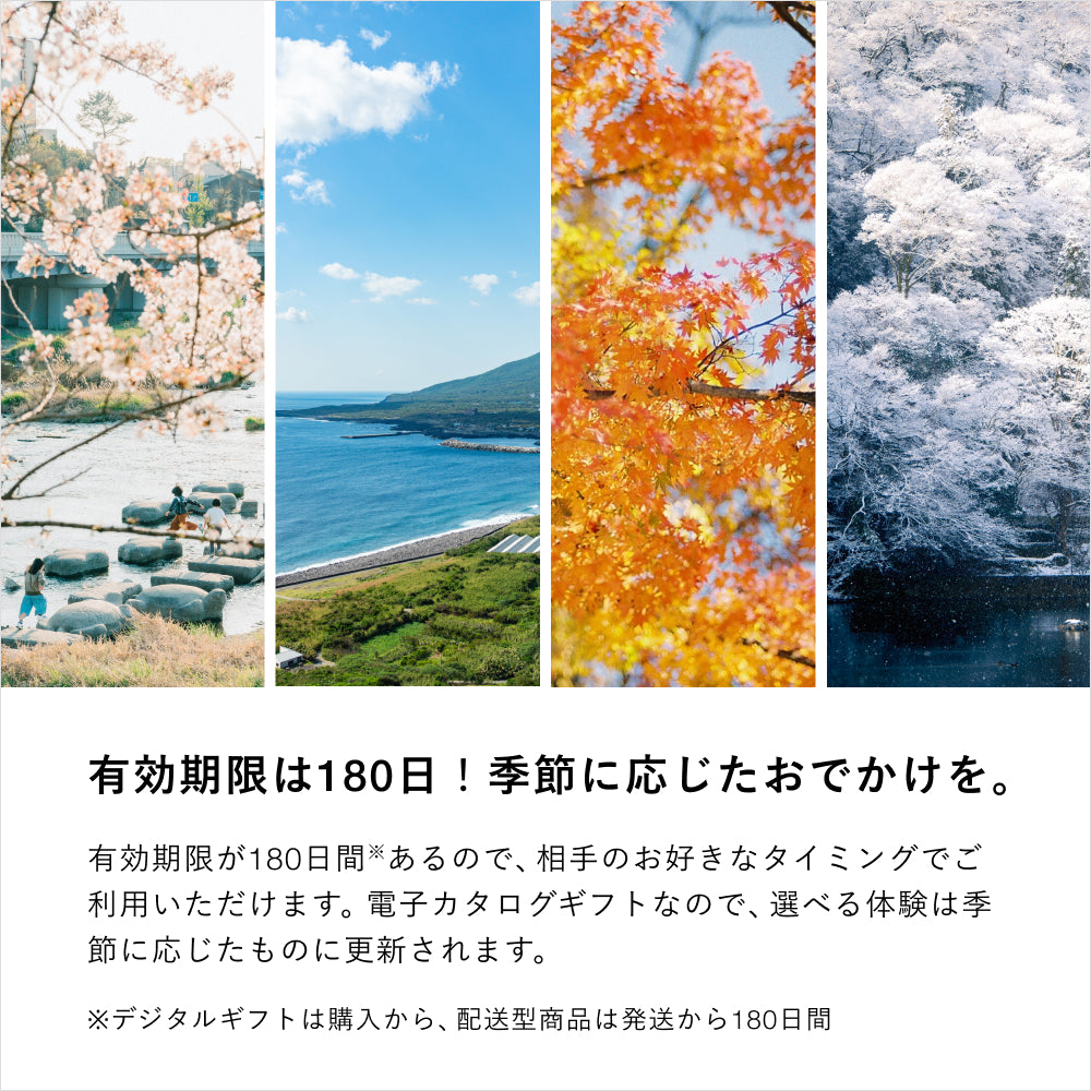 アソビュー！体験ギフト 総合カタログ Colorful（カラフル） | 体験