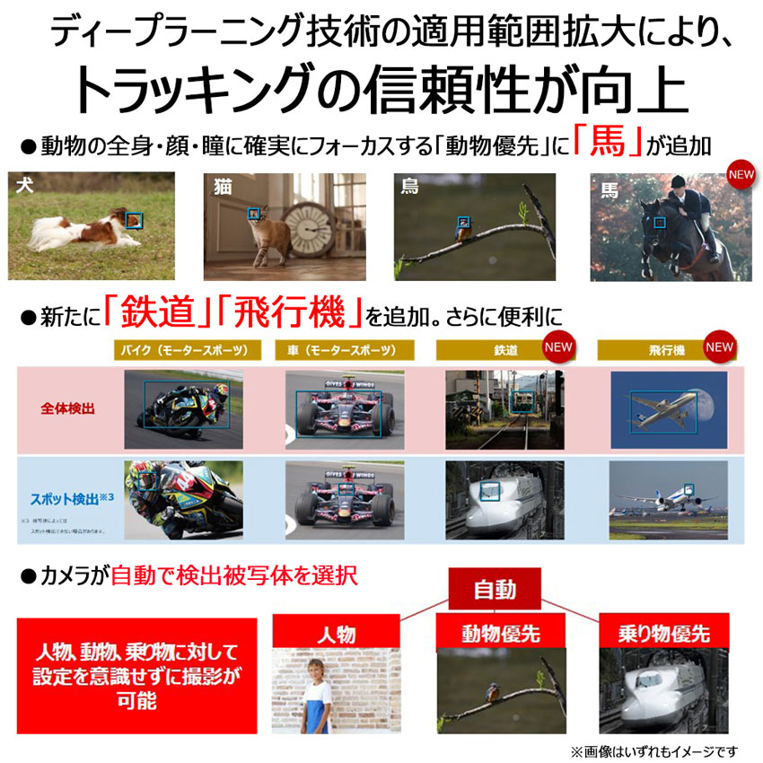 EOS R6 Mark II・RF24-105 L IS USM レンズキット：通販 | ミラーレス