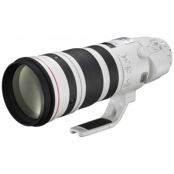 販売終了】EF200-400mm F4L IS USM エクステンダー 1.4×:交換レンズ