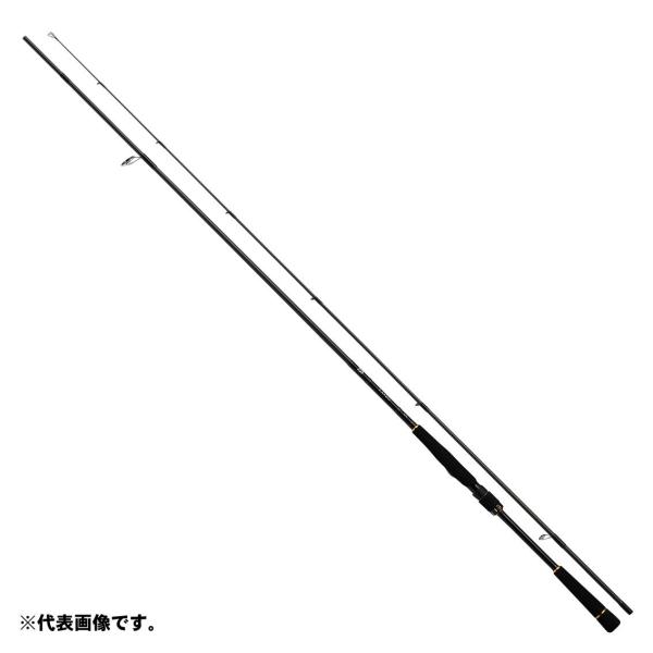特価】ダイワ ラテオ R 96ML 2019モデル (スピニング2ピース): 竿