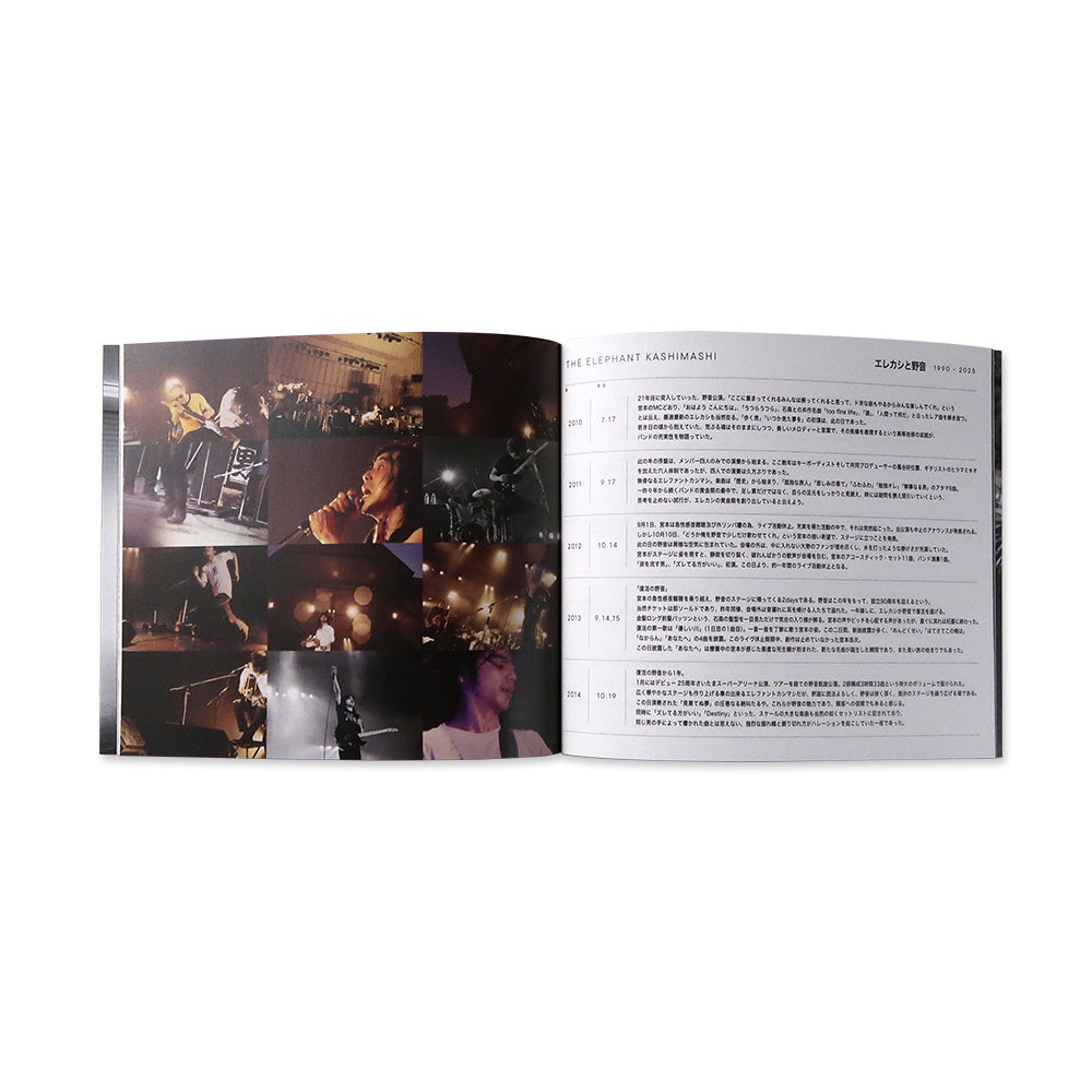 俺たちの野音]コンサートパンフレット「俺たちの野音」 – elephants