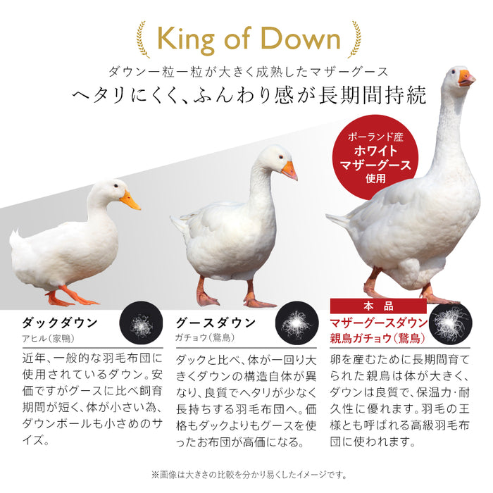 羽毛布団 二層式 シングル ポーランド産ホワイトマザーグース95