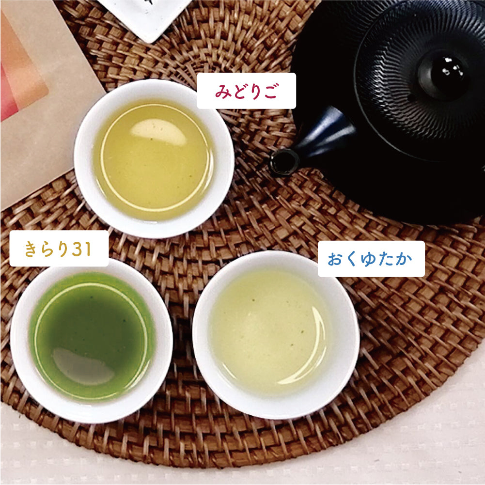 CHAKA 3種ティーバッグのギフトセット【世界緑茶コンテスト2024金賞