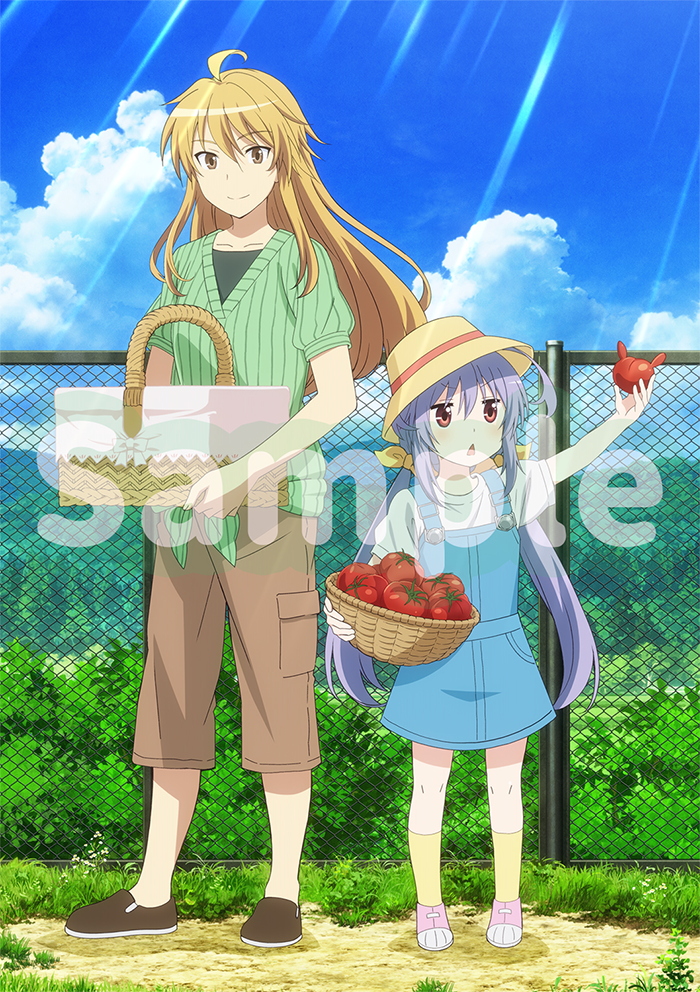 のんのんびより のんすとっぷ 第1巻 Blu-ray: BD・DVD・CD | カドスト