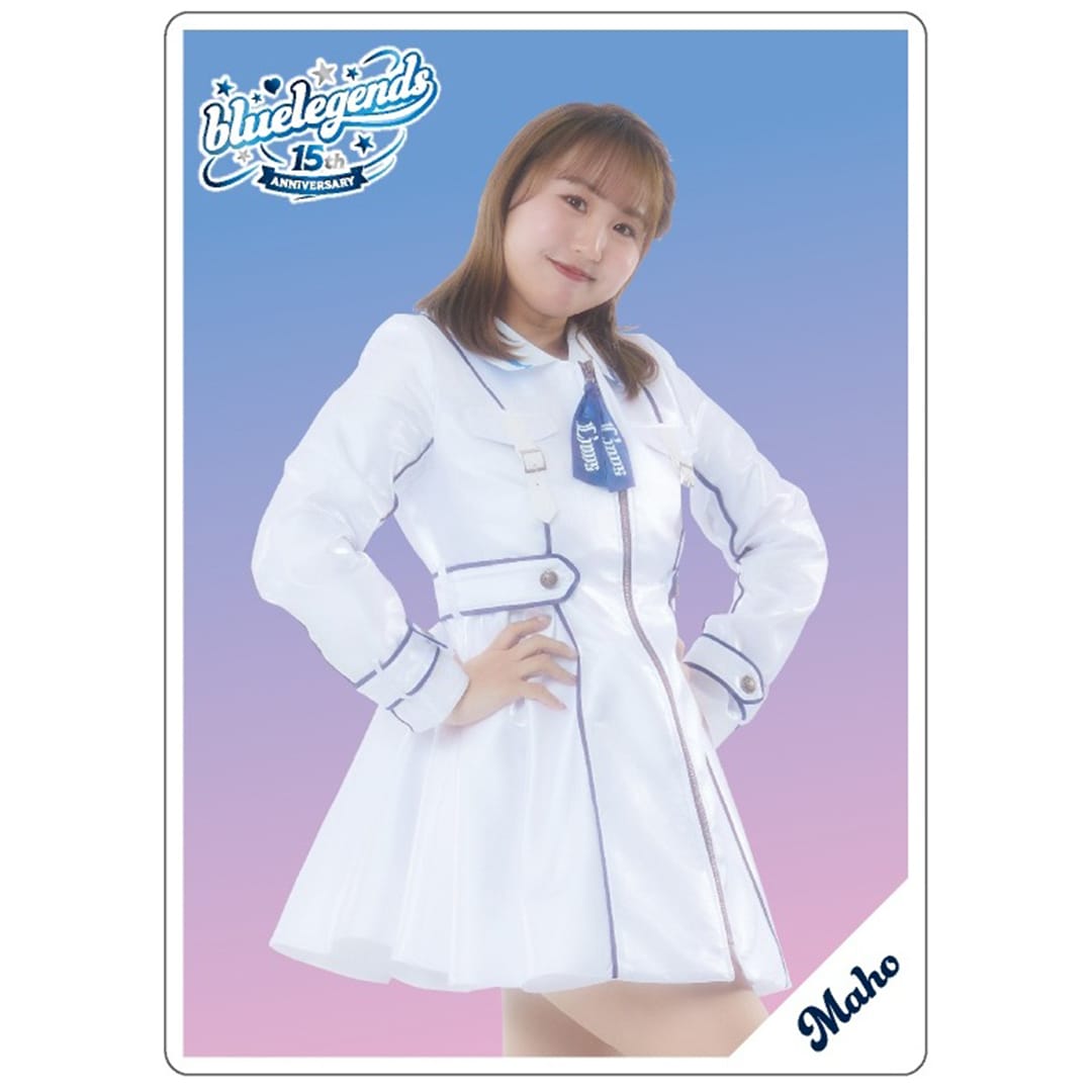 2025bluelegends15周年シークレットトレーディングカード(全16種