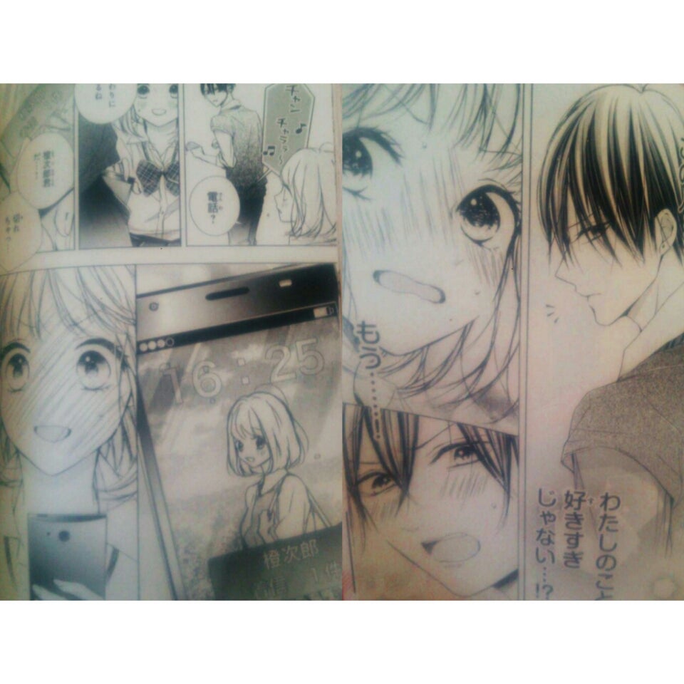 ♥*゜ルイは恋を呼ぶ ① | 少女漫画大好きブログ