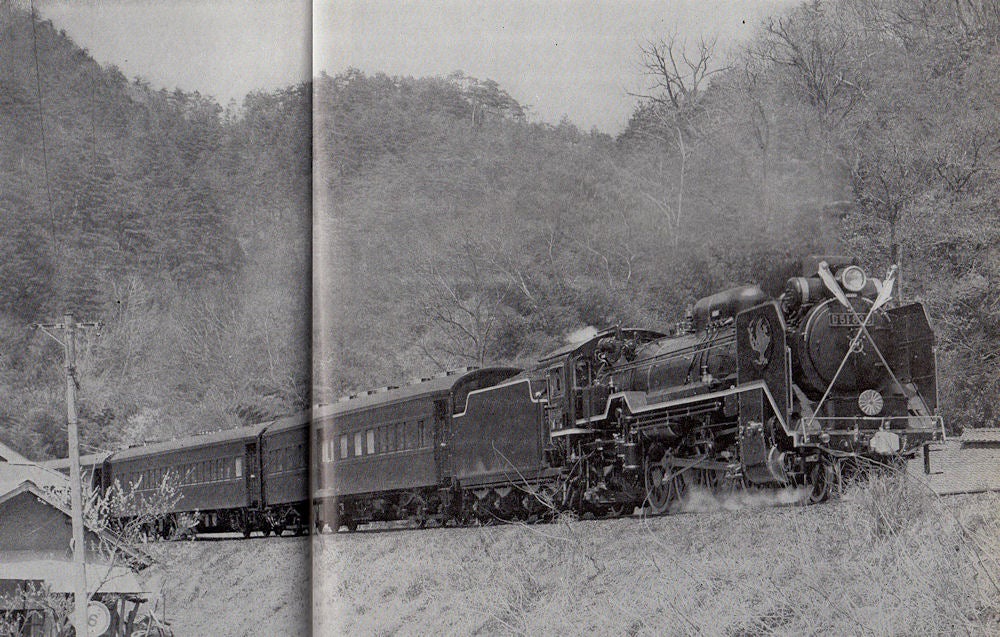 鉄道模型】D51-838お召し列車CRWを走行 | cavacho☆彡“きゃばちょこ”です。