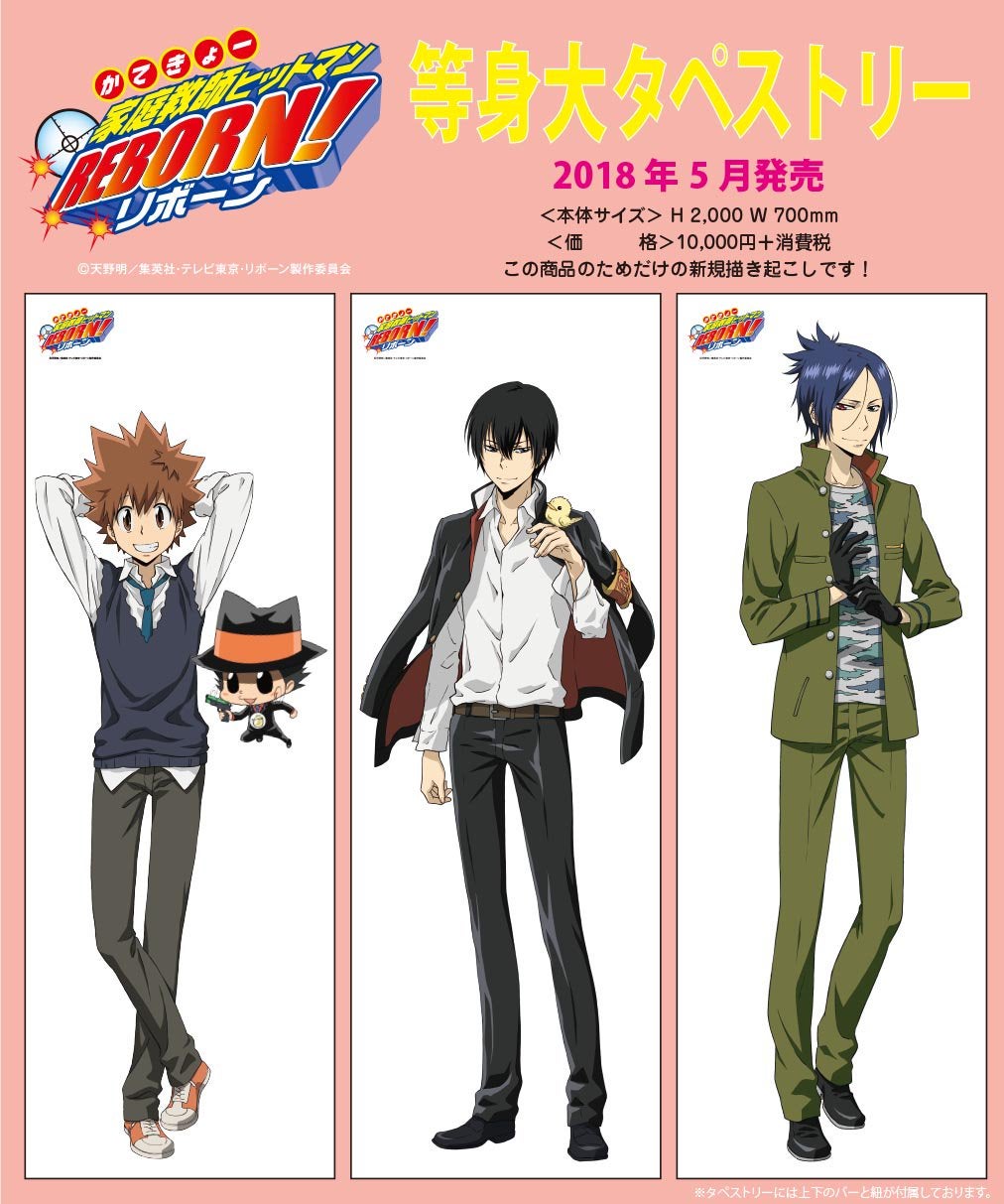 家庭教師ヒットマンREBORN！等身大タペストリー | リボーンファン