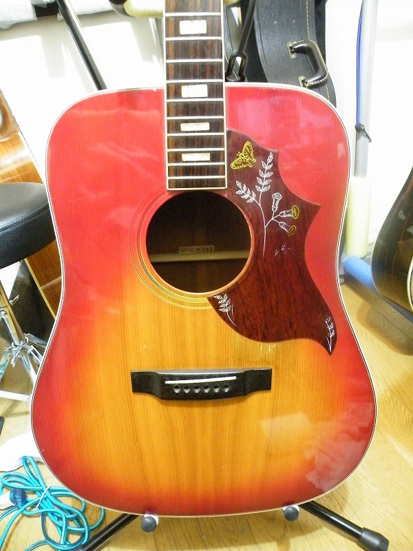 CANDA 202 ハミングバードモデル by 富士弦 | Worihのブログ