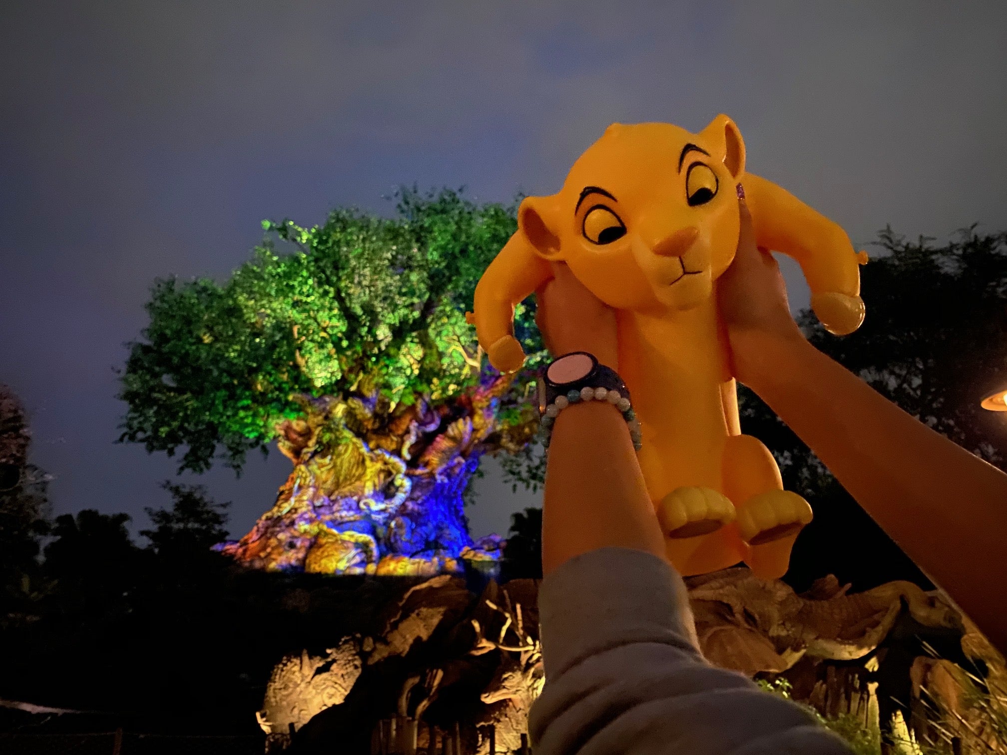 WDW】ついにシンバのポップコーンバケツが発売に！！ | ディズニー