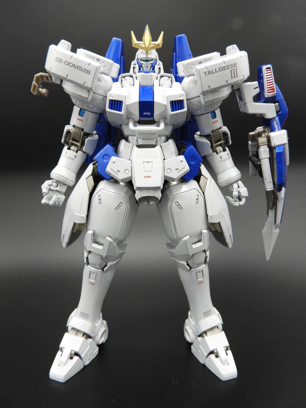 MG 1/100 OZ-00MS2B トールギスⅢ [スペシャル・コーティング] | ぼぎ